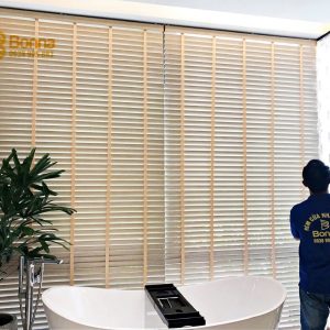 Chất gỗ – Chất riêng.